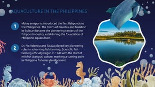AQUACULTURE IN THE PHILIPPINES
Malay emigrants introduced the first fishponds to
the Philippines. The towns of Navotas and Malabon
in Bulacan became the pioneering centers of the
fishpond industry, establishing the foundation of
Philippine aquaculture.
Dr. Pio Valencia and Talava played key pioneering
roles in advancing fish farming. Scientific fish
farming officially began in 1940 with the start of
milkfish (bangus) culture, marking a turning point
in Philippine fisheries development.
 
