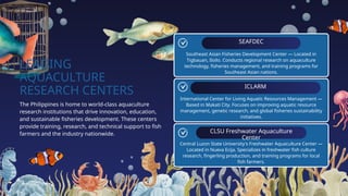 LEADING
AQUACULTURE
RESEARCH CENTERS
SEAFDEC
ICLARM
CLSU Freshwater Aquaculture
Center
The Philippines is home to world-class aquaculture
research institutions that drive innovation, education,
and sustainable fisheries development. These centers
provide training, research, and technical support to fish
farmers and the industry nationwide.
Southeast Asian Fisheries Development Center — Located in
Tigbauan, Iloilo. Conducts regional research on aquaculture
technology, fisheries management, and training programs for
Southeast Asian nations.
International Center for Living Aquatic Resources Management —
Based in Makati City. Focuses on improving aquatic resource
management, genetic research, and global fisheries sustainability
initiatives.
Central Luzon State University's Freshwater Aquaculture Center —
Located in Nueva Ecija. Specializes in freshwater fish culture
research, fingerling production, and training programs for local
fish farmers.
 