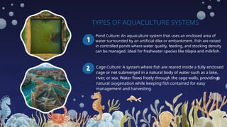 TYPES OF AQUACULTURE SYSTEMS
Pond Culture: An aquaculture system that uses an enclosed area of
water surrounded by an artificial dike or embankment. Fish are raised
in controlled ponds where water quality, feeding, and stocking density
can be managed. Ideal for freshwater species like tilapia and milkfish.
Cage Culture: A system where fish are reared inside a fully enclosed
cage or net submerged in a natural body of water such as a lake,
river, or sea. Water flows freely through the cage walls, providing
natural oxygenation while keeping fish contained for easy
management and harvesting.
 