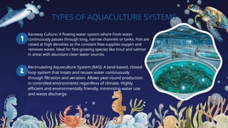 TYPES OF AQUACULTURE SYSTEMS
Raceway Culture: A flowing water system where fresh water
continuously passes through long, narrow channels or tanks. Fish are
raised at high densities as the constant flow supplies oxygen and
removes waste. Ideal for fast-growing species like trout and salmon
in areas with abundant clean water sources.
Recirculating Aquaculture System (RAS): A land-based, closed-
loop system that treats and reuses water continuously
through filtration and aeration. Allows year-round production
in controlled environments regardless of climate. Highly
efficient and environmentally friendly, minimizing water use
and waste discharge.
 