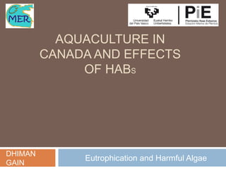 AQUACULTURE IN
CANADA AND EFFECTS
OF HABS
Eutrophication and Harmful Algae
DHIMAN
GAIN
 