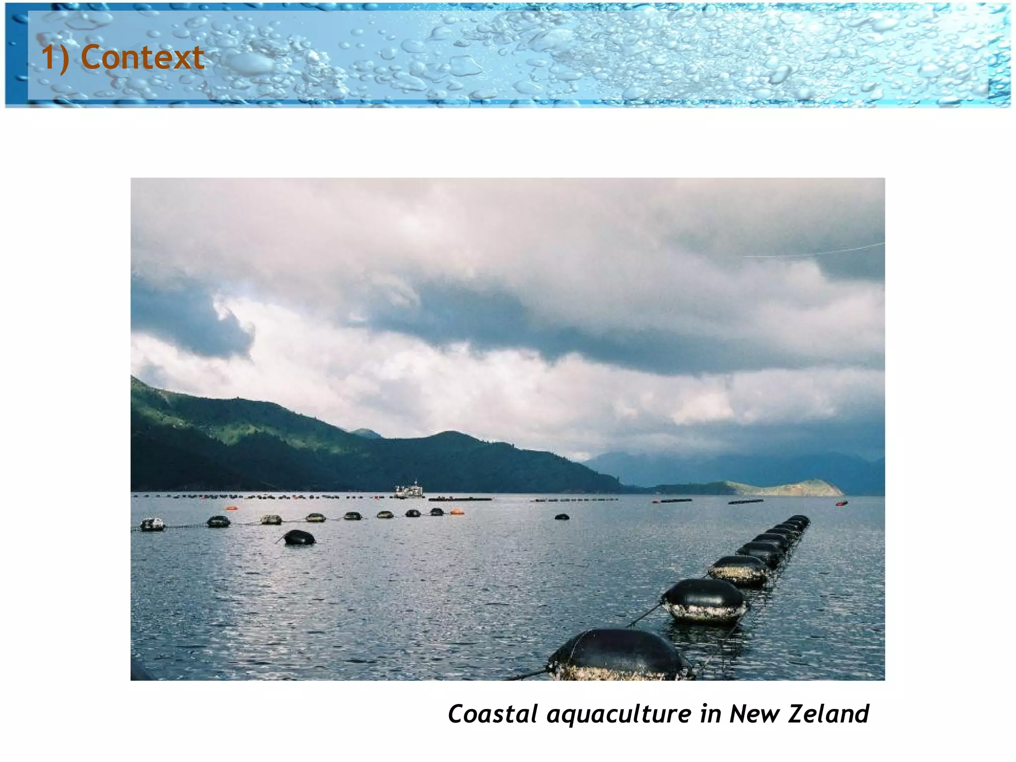 1) Context




             Coastal aquaculture in New Zeland
 