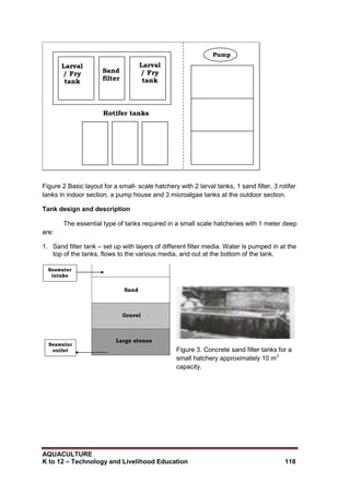 AQUACULTURE
K to 12 – Technology and Livelihood Education 118
Pump
Larval
/ Fry
tank
Sand
filter
Larval
/ Fry
tank
Rotifer tanks
Figure 2 Basic layout for a small- scale hatchery with 2 larval tanks, 1 sand filter, 3 rotifer
tanks in indoor section, a pump house and 3 microalgae tanks at the outdoor section.
Tank design and description
The essential type of tanks required in a small scale hatcheries with 1 meter deep
are:
1. Sand filter tank – set up with layers of different filter media. Water is pumped in at the
top of the tanks, flows to the various media, and out at the bottom of the tank.
Seawater
outlet
Sand
Gravel
Large stones
Seawater
intake
Figure 3. Concrete sand filter tanks for a
small hatchery approximately 10 m3
capacity.
 