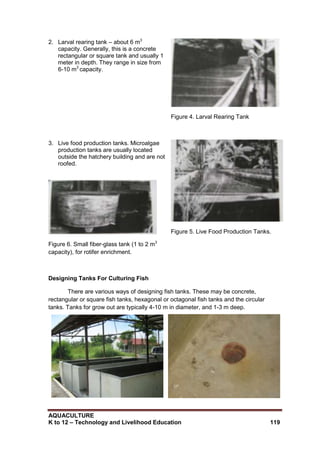 AQUACULTURE
K to 12 – Technology and Livelihood Education 119
2. Larval rearing tank – about 6 m3
capacity. Generally, this is a concrete
rectangular or square tank and usually 1
meter in depth. They range in size from
6-10 m3
capacity.
Figure 4. Larval Rearing Tank
3. Live food production tanks. Microalgae
production tanks are usually located
outside the hatchery building and are not
roofed.
Figure 6. Small fiber-glass tank (1 to 2 m3
capacity), for rotifer enrichment.
Figure 5. Live Food Production Tanks.
Designing Tanks For Culturing Fish
There are various ways of designing fish tanks. These may be concrete,
rectangular or square fish tanks, hexagonal or octagonal fish tanks and the circular
tanks. Tanks for grow out are typically 4-10 m in diameter, and 1-3 m deep.
 