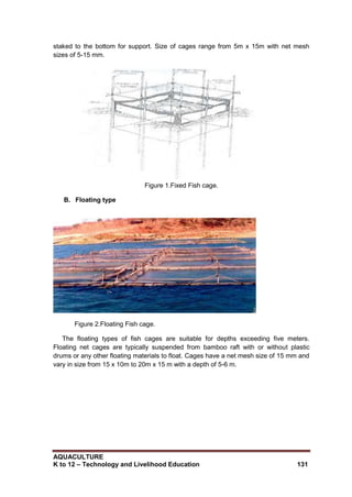AQUACULTURE
K to 12 – Technology and Livelihood Education 131
staked to the bottom for support. Size of cages range from 5m x 15m with net mesh
sizes of 5-15 mm.
Figure 1.Fixed Fish cage.
B. Floating type
Figure 2.Floating Fish cage.
The floating types of fish cages are suitable for depths exceeding five meters.
Floating net cages are typically suspended from bamboo raft with or without plastic
drums or any other floating materials to float. Cages have a net mesh size of 15 mm and
vary in size from 15 x 10m to 20m x 15 m with a depth of 5-6 m.
 