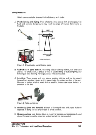 AQUACULTURE
K to 12 – Technology and Livelihood Education 148
Safety Measures
Safety measures to be observed in the following work tasks:
A. Pond draining and drying. Wear a hat and a long sleeve shirt. Over exposure to
heat and extreme temperature may result in range of injuries from burns to
frostbite.
Figure 1. Shovel/water pump/digging blade
B. Cultivation of pond bottom. Use long sleeve working clothes, hat and hand
gloves. For small ponds, a shovel or rake is used in tilling or cultivating the pond
bottom just after draining. For large pond, a rotavator is used.
C. Levelling. Wear gloves and long sleeve working clothes and hat to prevent
fingers from possible injuries and to prevent skin from direct sunlight of the sun.
Remove or gather shell of snails in the pond for these may cause incision or
puncture to the feet.
Figure 2. Rake and gloves
D. Repairing gates and screens. Broken or damaged slab and pipes must be
repaired. In doing so, use proper tools to avoid accident.
E. Repairing dikes. Use digging blade in repairing leakage and seepages of pond
dikes. Extra care must be observed so that feet will not be wounded.
 