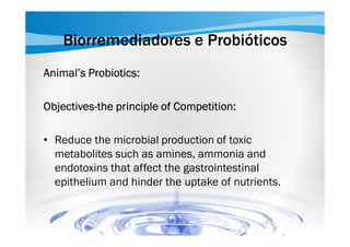 Biorremediadores e Probióticos
Animal’s Probiotics:
ObjectivesObjectives-the principle of Competition:
• Reduce the microbial production of toxic
metabolites such as amines, ammonia and
endotoxins that affect the gastrointestinal
epithelium and hinder the uptake of nutrients.

 