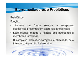Biorremediadores e Probióticos
Prebióticos
Função:
• Ligam-se de forma seletiva a receptores
específicos presentes em bactérias patogênicas;
• Esse evento impede a fixação dos patógenos a
membrana intestinal;
• O complexo prebiótico-patógeno é eliminado pelo
intestino, já que não é absorvido;

 