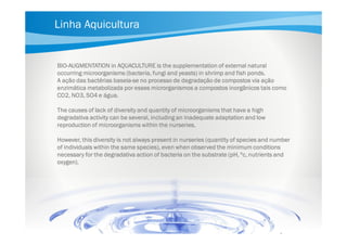 Linha Aquicultura

BIOBIO-AUGMENTATION in AQUACULTURE is the supplementation of external natural
occurring microorganisms (bacteria, fungi and yeasts) in shrimp and fish ponds.
baseiaA ação das bactérias baseia-se no processo de degradação de compostos via ação
enzimática metabolizada por esses microrganismos a compostos inorgânicos tais como
CO2, NO3, SO4 e água.
The causes of lack of diversity and quantity of microorganisms that have a high
degradativa activity can be several, including an inadequate adaptation and low
reproduction of microorganisms within the nurseries.
However, this diversity is not always present in nurseries (quantity of species and number
of individuals within the same species), even when observed the minimum conditions
necessary for the degradativa action of bacteria on the substrate (pH, ºc, nutrients and
oxygen).

 
