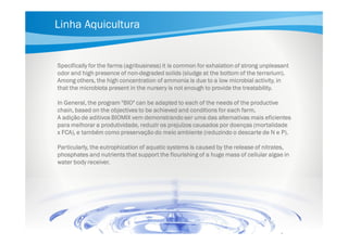 Linha Aquicultura

Specifically for the farms (agribusiness) it is common for exhalation of strong unpleasant
nonodor and high presence of non-degraded solids (sludge at the bottom of the terrarium).
Among others, the high concentration of ammonia is due to a low microbial activity, in
that the microbiota present in the nursery is not enough to provide the treatability.
In General, the program "BIO" can be adapted to each of the needs of the productive
chain, based on the objectives to be achieved and conditions for each farm.
A adição de aditivos BIOMIX vem demonstrando ser uma das alternativas mais eficientes
para melhorar a produtividade, reduzir os prejuízos causados por doenças (mortalidade
x FCA), e também como preservação do meio ambiente (reduzindo o descarte de N e P).
Particularly, the eutrophication of aquatic systems is caused by the release of nitrates,
phosphates and nutrients that support the flourishing of a huge mass of cellular algae in
water body receiver.

 