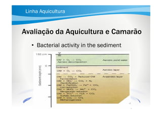 Linha Aquicultura

Avaliação da Aquicultura e Camarão
• Bacterial activity in the sediment

 