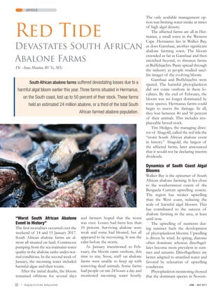»32
South African abalone farms suffered devastating losses due to a
harmful algal bloom earlier this year. Three farms situated in Hermanus,
on the South coast, lost up to 50 percent of their stock. These farms
held an estimated 24 million abalone, or a third of the total South
African farmed abalone population.
article
Red Tide
Devastates South African
Abalone Farms
Dr. Anna Mouton, BVSc, MSc
“Worst South African Abalone
Event in History”
The first mortalities occurred over the
weekend of 14 and 15 January 2017.
South African abalone farms are al-
most all situated on land. Continuous
pumping from the sea maintains water
quality in the abalone tanks under nor-
mal conditions. In the second week of
January, the incoming water included
harmful algae and their toxins.
After the initial deaths, the bloom
remained offshore for several days
and farmers hoped that the worst
was over. Losses had been less than
10 percent. Surviving abalone were
weak and some had bloated, but all
appeared to be recovering. It was the
calm before the storm.
As January transitioned to Feb-
ruary, the bloom came onshore, this
time to stay. Soon, staff on abalone
farms were unable to keep up with
removing dead animals. Some farms
had people on site 24 hours a day and
monitored incoming water hourly.
The only available management op-
tion was limiting water intake at times
of high algal density.
The affected farms are all in Her-
manus, a small town in the Western
Cape. Hermanus lies in Walker Bay,
as does Gansbaai, another significant
abalone farming town. The bloom
extended as far as Gansbaai and then
stretched beyond, to threaten farms
at Buffelsjachts. Panic spread through
the industry as people studied satel-
lite images of the evolving bloom.
Gansbaai and Buffelsjachts were
spared. The harmful phytoplankton
did not come onshore in these lo-
calities. By the end of February, the
bloom was no longer dominated by
toxic species. Hermanus farms could
begin to assess the damage. In all,
they lost between 40 and 50 percent
of their animals. This includes irre-
placeable brood stock.
Tim Hedges, the managing direc-
tor of Abagold, called the red tide the
“worst South African abalone event
in history.” Abagold, the largest of
the affected farms, later announced
that it would not be declaring interim
dividends.
Dynamics of South Coast Algal
Blooms
Walker Bay is the epicenter of South
African abalone farming. It lies close
to the southernmost extent of the
Benguela Current upwelling system.
The region has weaker upwelling
than the West coast, reducing the
scale of harmful algal blooms. This
has contributed to the success of
abalone farming in the area, at least
until now.
The upwelling of nutrients dur-
ing summer fuels the development
of phytoplankton blooms. Upwelling
is driven by wind. In spring, diatoms
often dominate whereas dinoflagel-
lates become more prevalent in sum-
mer and autumn. Dinoflagellates are
better adapted to stratified water and
favored by relaxation of upwelling
conditions.
Phytoplankton monitoring showed
that the dominant species in Novem-
 
