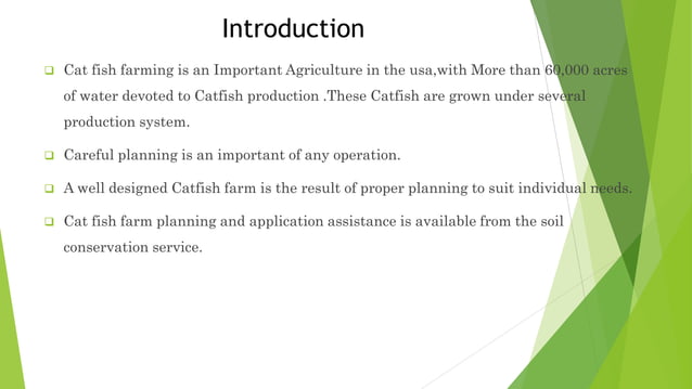 Aquaculture Of Catfish Ppt pptx