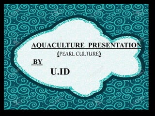 AQUACULTURE PRESENTATION
(PEARL CULTURE)
BY
U.ID
 