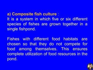 a) Composite fish culture :
It is a system in which five or six different
species of fishes are grown together in a
single fishpond.
Fishes with different food habitats are
chosen so that they do not compete for
food among themselves. This ensures
complete utilization of food resources in the
pond.
 