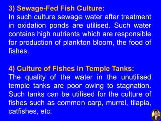 3) Sewage-Fed Fish Culture:
In such culture sewage water after treatment
in oxidation ponds are utilised. Such water
contains high nutrients which are responsible
for production of plankton bloom, the food of
fishes.
4) Culture of Fishes in Temple Tanks:
The quality of the water in the unutilised
temple tanks are poor owing to stagnation.
Such tanks can be utilised for the culture of
fishes such as common carp, murrel, tilapia,
catfishes, etc.
 