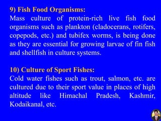 9) Fish Food Organisms:
Mass culture of protein-rich live fish food
organisms such as plankton (cladocerans, rotifers,
copepods, etc.) and tubifex worms, is being done
as they are essential for growing larvae of fin fish
and shellfish in culture systems.
10) Culture of Sport Fishes:
Cold water fishes such as trout, salmon, etc. are
cultured due to their sport value in places of high
altitude like Himachal Pradesh, Kashmir,
Kodaikanal, etc.
 
