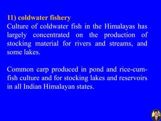 11) coldwater fishery
Culture of coldwater fish in the Himalayas has
largely concentrated on the production of
stocking material for rivers and streams, and
some lakes.
Common carp produced in pond and rice-cum-
fish culture and for stocking lakes and reservoirs
in all Indian Himalayan states.
 