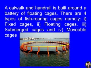 A catwalk and handrail is built around a
battery of floating cages. There are 4
types of fish-rearing cages namely: i)
Fixed cages, ii) Floating cages, iii)
Submerged cages and iv) Moveable
cages
 