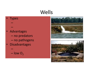 Wells 
• Types 
– 
– 
• Advantages 
– no predators 
– no pathogens 
• Disadvantages 
– 
– low O2 
 