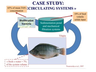 CASE STUDY: 
« INTEGRATED AQUACULTURE SYSTEMS » 
Wastes 
Microalgae 
SeaOr Marine farm: Shpigel et al., 1993; Neori et al....