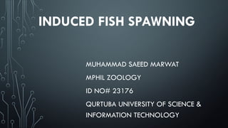 Comprehensive Guide to Induced Fish Spawning Techniques and ...