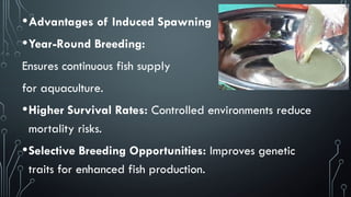 Comprehensive Guide to Induced Fish Spawning Techniques and ...