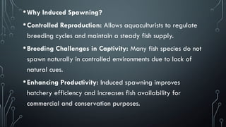 Comprehensive Guide to Induced Fish Spawning Techniques and ...