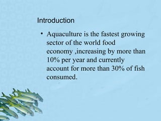 Aquaculture presentation by Komakech Richard | PPT