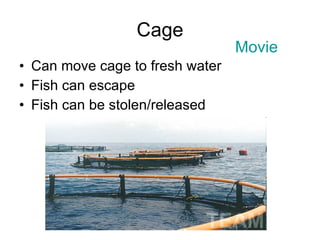 Cage Can move cage to fresh water Fish can escape Fish can be stolen/released Movie 