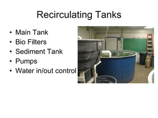 Recirculating Tanks Main Tank Bio Filters Sediment Tank Pumps Water in/out control 