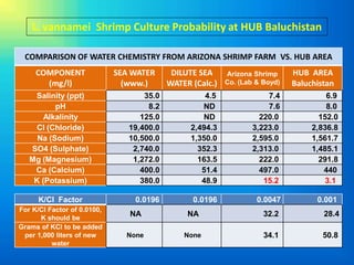 L. vannamei Shrimp Culture Probability at HUB Baluchistan

 COMPARISON OF WATER CHEMISTRY FROM ARIZONA SHRIMP FARM VS. HUB AREA
     COMPONENT               SEA WATER      DILUTE SEA     Arizona Shrimp     HUB AREA
       (mg/l)                  (www.)      WATER (Calc.)   Co. (Lab & Boyd)   Baluchistan
    Salinity (ppt)                  35.0             4.5               7.4             6.9
          pH                         8.2            ND                 7.6             8.0
       Alkalinity                  125.0            ND               220.0           152.0
    Cl (Chloride)               19,400.0         2,494.3           3,223.0         2,836.8
     Na (Sodium)                10,500.0         1,350.0           2,595.0         1,561.7
   SO4 (Sulphate)                2,740.0           352.3           2,313.0         1,485.1
   Mg (Magnesium)                1,272.0           163.5             222.0           291.8
    Ca (Calcium)                   400.0            51.4             497.0            440
    K (Potassium)                  380.0            48.9              15.2             3.1

      K/Cl Factor                0.0196          0.0196             0.0047          0.001
For K/Cl Factor of 0.0100,
      K should be
                                NA              NA                    32.2            28.4
Grams of KCl to be added
 per 1,000 liters of new       None            None                   34.1            50.8
          water
 