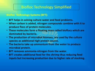 Biofloc Technology Simplified
Biofloc Technology Systems (BFT):
• BFT helps in solving culture water and feed problems.
• When carbon is added, nitrogen compounds combine with it to
  produce flocs of protein molecules.
• These molecules form a floating mass called bioflocs which are
  dominated by bacteria.
• The production of microbial biomass, are used by the culture
  species as additional high protein source.
• The bacteria take up ammonium from the water to produce
  microbial protein.
• BFT removes ammonia-nitrogen from the water.
• BFT creates additional feed for the shrimp thus reducing feed
  inputs but increasing production due to higher rate of stocking.
 