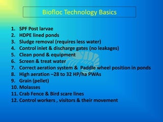 Biofloc Technology Basics

1. SPF Post larvae
2. HDPE lined ponds
3. Sludge removal (requires less water)
4. Control inlet & discharge gates (no leakages)
5. Clean pond & equipment
6. Screen & treat water
7. Correct aeration system & Paddle wheel position in ponds
8. High aeration –28 to 32 HP/ha PWAs
9. Grain (pellet)
10. Molasses
11. Crab Fence & Bird scare lines
12. Control workers , visitors & their movement
 