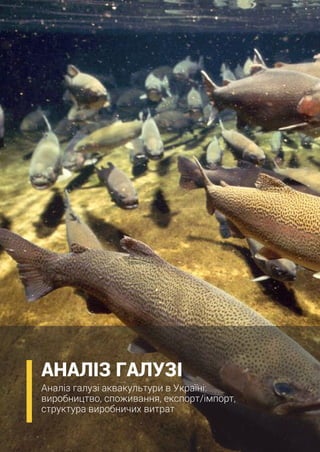 12 EasyBusiness, Норвезько-Українська Торгова Палата, Everlegal,, Державне Агентство Рибного Господарства України
400 000
...