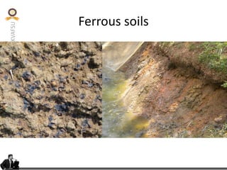 KVAFSU
Ferrous soils
 