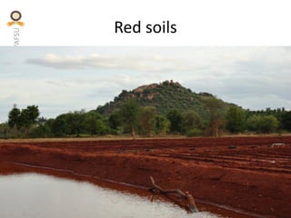 KVAFSU
Red soils
 