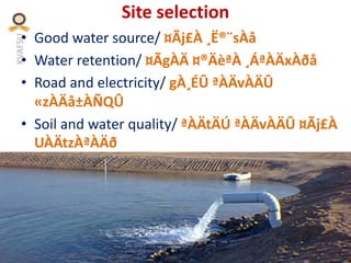 KVAFSU
Site selection
• Good water source/ ¤Ãj£À ¸Ë®¨sÀå
• Water retention/ ¤ÃgÀÄ ¤®ÄèªÀ ¸ÁªÀÄxÀðå
• Road and electricity/ gÀ¸ÉÛ ªÀÄvÀÄÛ
«zÀÄå±ÀÑQÛ
• Soil and water quality/ ªÀÄtÄÚ ªÀÄvÀÄÛ ¤Ãj£À
UÀÄtzÀªÀÄð
 