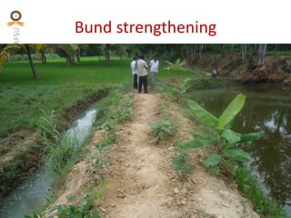 KVAFSU
Bund strengthening
 