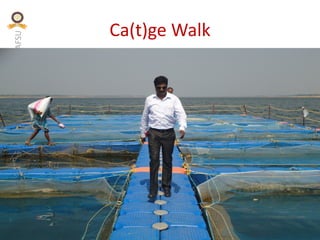 KVAFSU
Ca(t)ge Walk
 