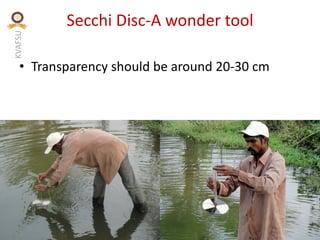 KVAFSU
Secchi Disc-A wonder tool
• Transparency should be around 20-30 cm
 