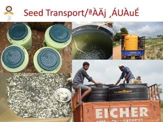 KVAFSU
Seed Transport/ªÀÄj ¸ÁUÀuÉ
 