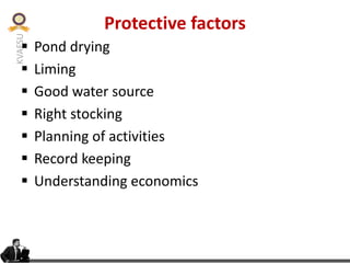 KVAFSU
Protective factors
§ Pond drying
§ Liming
§ Good water source
§ Right stocking
§ Planning of activities
§ Record keeping
§ Understanding economics
 