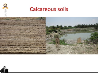 KVAFSU
Calcareous soils
 