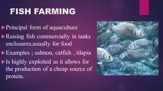 aquafarming.pdf