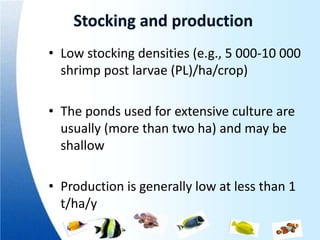 • Low stocking densities (e.g., 5 000-10 000
  shrimp post larvae (PL)/ha/crop)

• The ponds used for extensive culture are
  usually (more than two ha) and may be
  shallow

• Production is generally low at less than 1
  t/ha/y
 