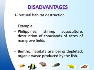 1- Natural habitat destruction

  Example:
• Philippines, shrimp aquaculture,
  destruction of thousands of acres of
  mangrove fields

• Benthic habitats are being depleted,
  organic waste produced by the fish.
 