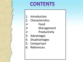 1.   Introduction
2.   Characteristics
          Food
          Management
          Productivity
3.   Advantages
4.   Disadvantages
5.   Comparison
6.   References
 