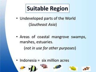 • Undeveloped parts of the World
      (Southeast Asia)

• Areas of coastal mangrove swamps,
  marshes, estuaries.
    (not in use for other purposes)

• Indonesia = six million acres
 