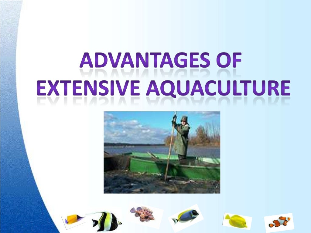 Extensive Aquaculture extensive-aquaculture